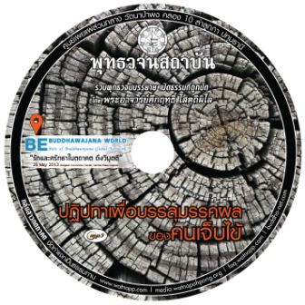 ปฏิปทาเพื่อบรรลุมรรคผลของคนเจ็บไข้